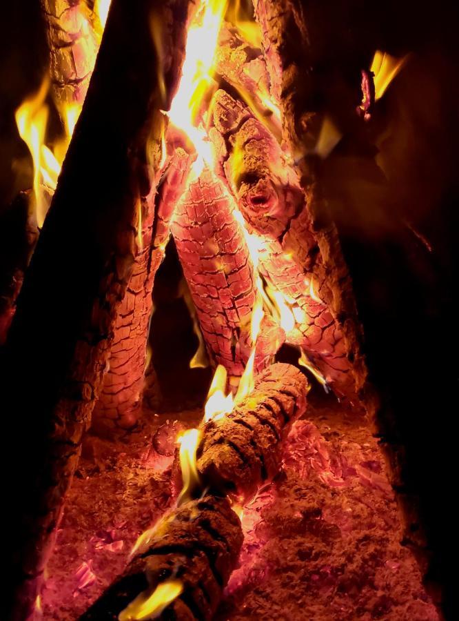 Nomad Lodge Olympos Adults Only エクステリア 写真