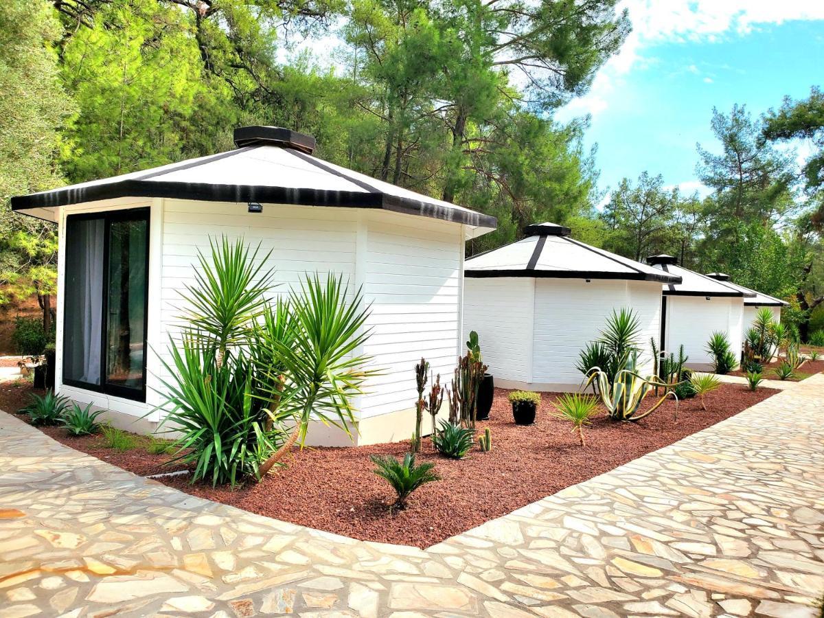 Nomad Lodge Olympos Adults Only エクステリア 写真